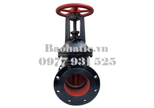 Van HT200 Dn800